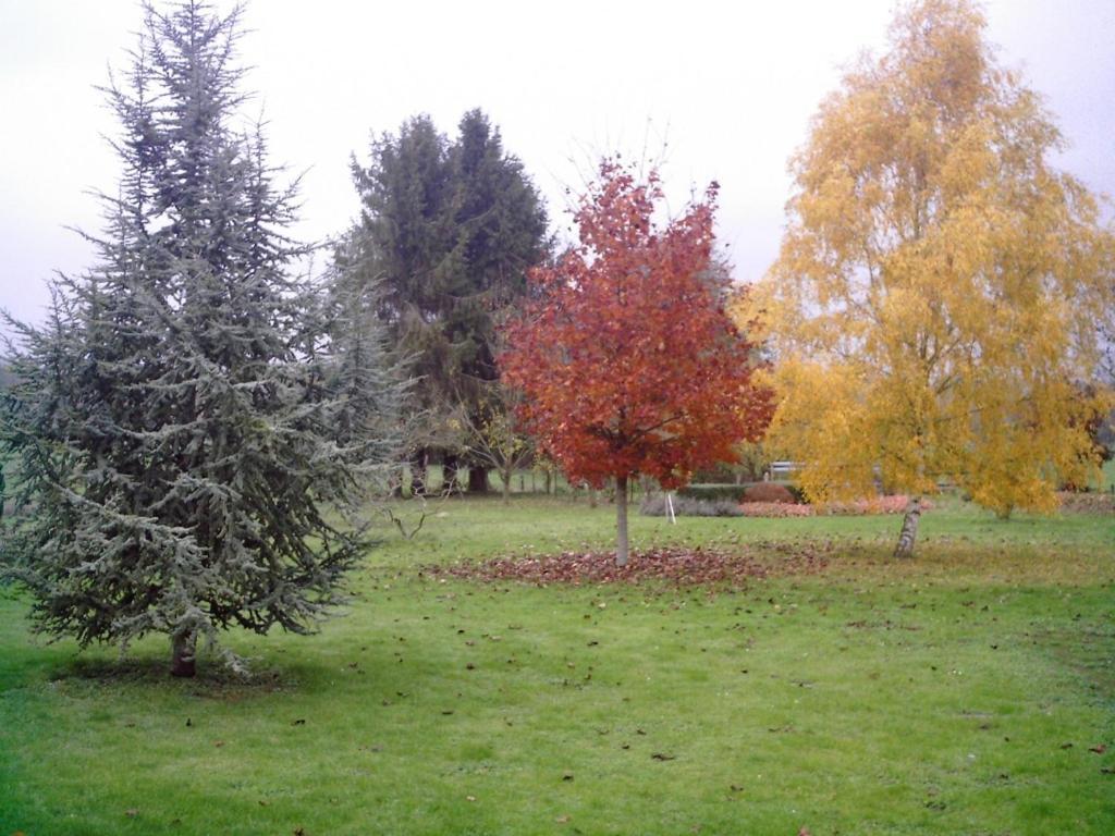 Vila Au Jardin Fleuri Vauxaillon Exteriér fotografie