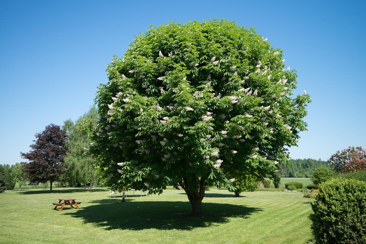 Vila Au Jardin Fleuri Vauxaillon Exteriér fotografie