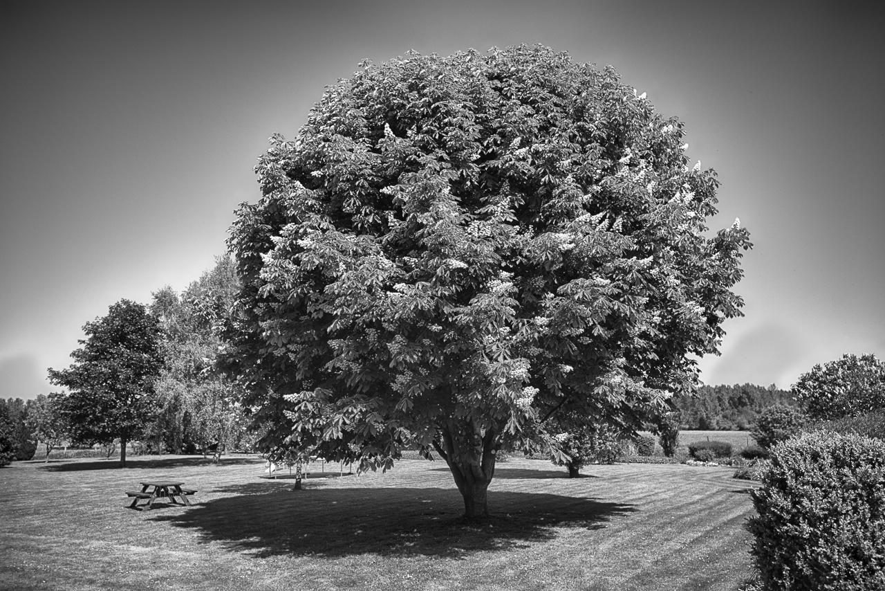 Vila Au Jardin Fleuri Vauxaillon Exteriér fotografie